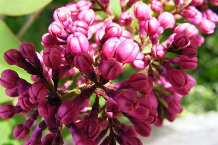 1649403204761372.jpeg 23127809a6d4a599b91b779293ea7f9d.jpeg