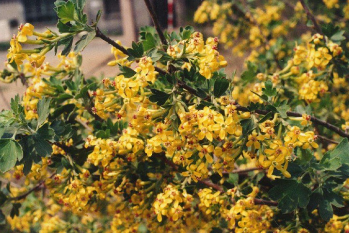 1649403218692794.jpeg 92ecb427276567f31dc3bb028df481d7.jpeg