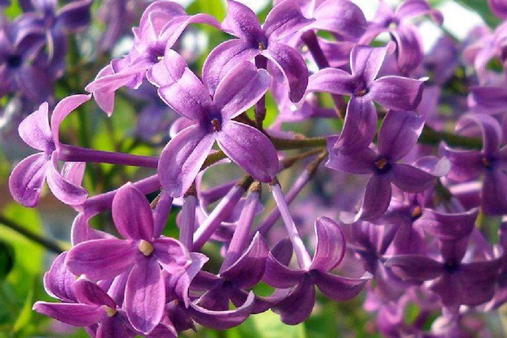 1649403236416109.jpeg 08f8cbb6ae1454ec84d10103d23286d1.jpeg