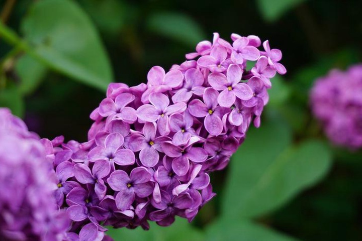 1649403251970145.jpeg 66f01bc12b1ed0b44eed045815206e29.jpeg