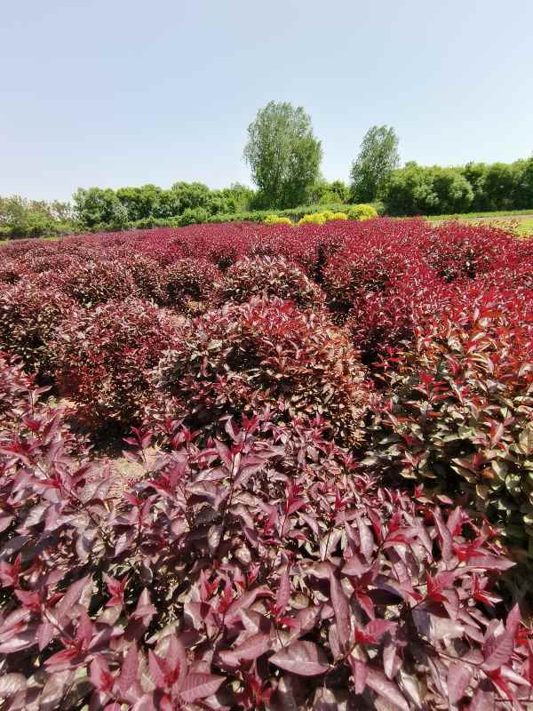 1731910212340960.jpg IMG_20230507_114431.jpg