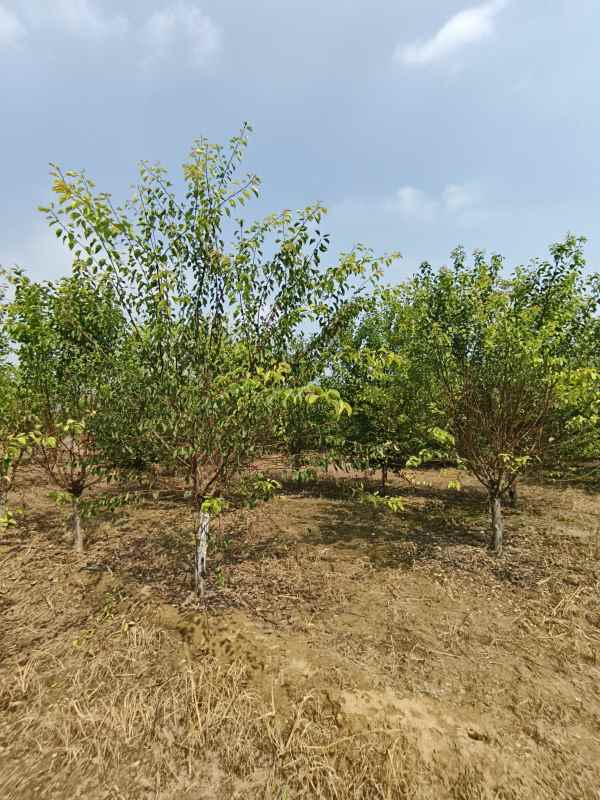 1732252763881930.jpg IMG_20230831_132232.jpg